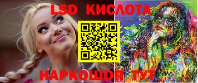 шишки Абакан