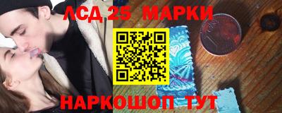 шишки Абакан