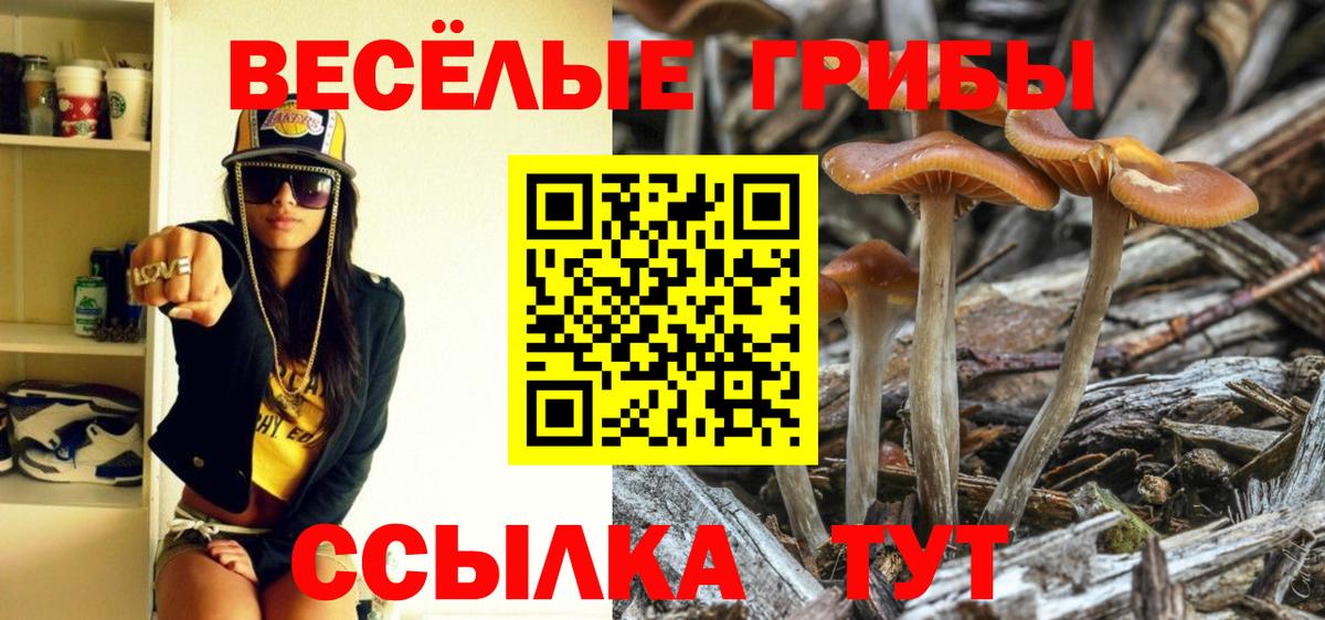 Галлюциногенные грибы ЛСД  Псилоцибиновые грибы мухоморы  Вход с VPN  Ангарск 